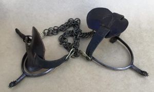 Boer War-WW1 Period Officers Riding Spurs.