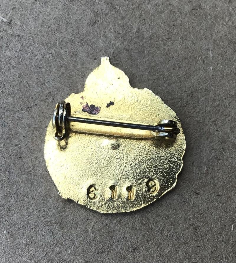 Australia 'Thirty Niners' Association Lapel Badge — image 2