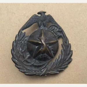 Vietnam War Period South Vietnam Marines Beret Badge