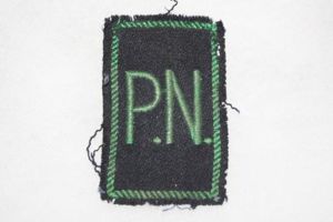 Spain Policia Naval (Naval Police) Arm Patch Military Police