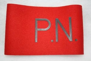 Spain Policia Naval Armband/Brassard (Naval Police)Military Police