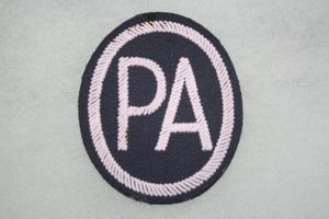 Spain Policia Aerea (Air Police) Patch