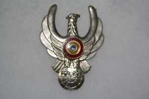 Romanian Air Traffic Controlers metal wing