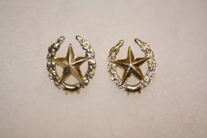 Russian Mot Rifle Units Collar Badges Pair