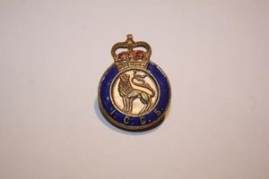 Civil Defence ICDS Men Lapel Badge