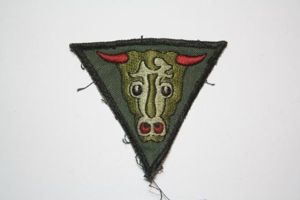 TRF 32nd Engineer Rgt