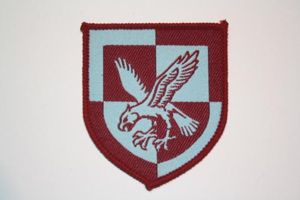 16 Airasult Brigade Colour