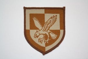 16 Airasult Brigade Desert