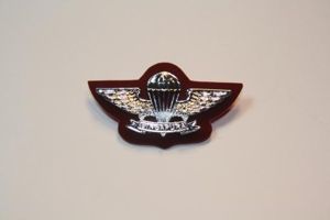 Singapore Basic Parachutist white metal wings