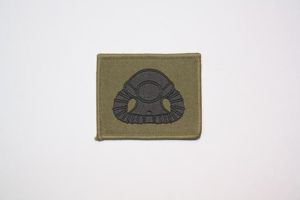 Singapore Basic Divers Badge