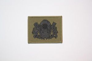 Singapore Combat Divers Badge