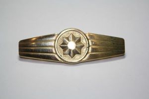 Feldjager German Military Police Gold Service insignia