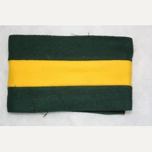 Australian Army Training Command Armband