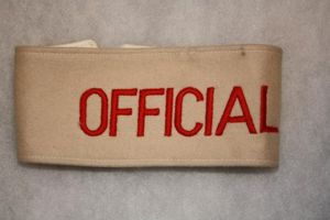 Royal Air Force Officials Armband