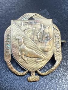 Falkland Island Defence Force Cap Badge