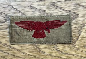 RAF Eagle Tropical Issue Patch