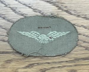 RAF Eagle Tropical Issue Patch