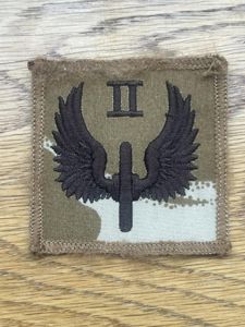 2 Squadron RAF Regiment Patch