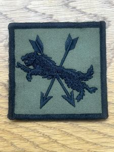 2623 Squadron (Royal Auxiliary Air Force) Regiment