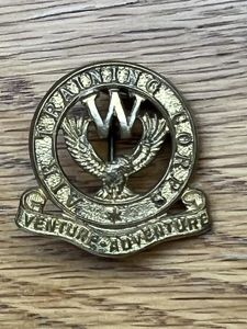 ATC Air Training Corps Welfare Officer Collar Badge