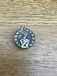 Poland Military Police Collar Badge ZW