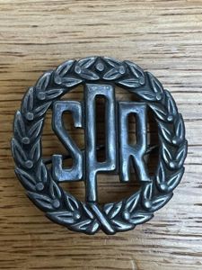 Poland Reserve Officer Cadets School Badge