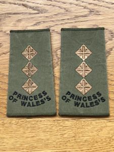 Princess of Wales Captain Rank Slides Pair