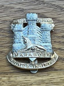 Devon & Dorset Anodised Cap Badge