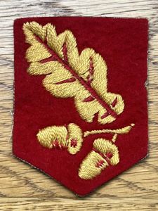 Ireland Curragh Command