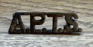 Army Physical Training Staff APTS Shoulder Title