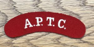 Army Physical Training Corps APTC Shoulder Title