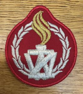 Poland Military Police Patch Zandarmeria Wojskowa