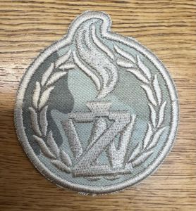 Poland Military Police Patch Zandarmeria Wojskowa