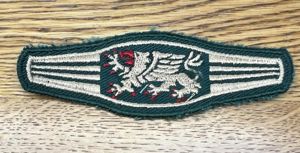 Austria Police Support Group USK SWAT Chest Patch