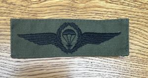 Germany Foreign Students Wing Subdued BT141 Blanford