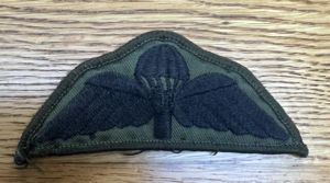 British subdued Para Wing Used