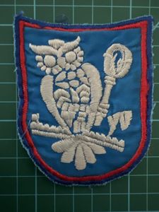 German 6th Army Aviation Rgt