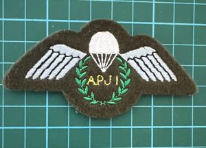 British Apprentice Parachute Jump Instructor Wing
