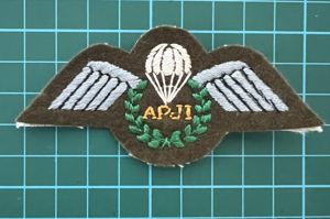 British Apprentice Parachute Jump Instructor Wing