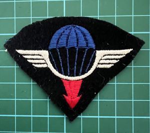 France Air Delivery Group Patch
