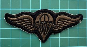 US Army Parachute Rigger Wings