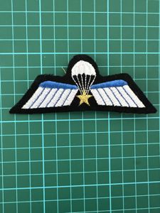 Netherlands Brevet A Parachute Wing