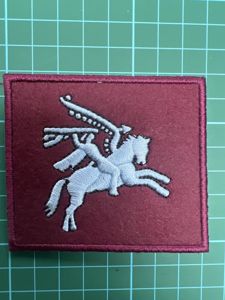 Belgium woven Pegasus patch