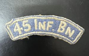 Ireland 45th Infantry Battalion Shoulder Title Lebanon