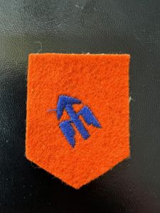 Ireland 1st Division Southern Command