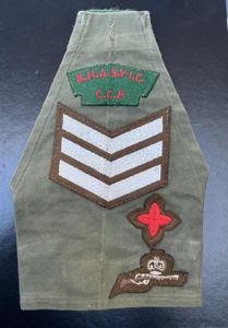 Brighton Hove & Sussex Six Form College CCF Brassard