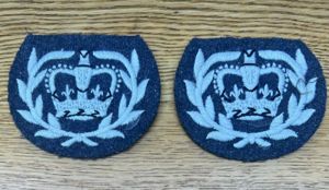 Air Training Corps ATC Cadet Warrant Officer Pair
