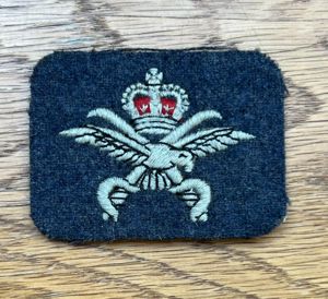 RAF Physical Training Instructor Cloth Badge