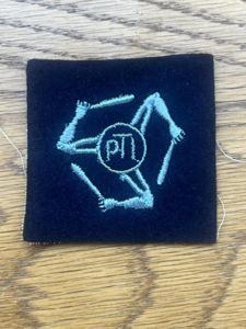RAF PTI Physical Training Instructor Cloth Patch