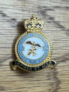 Royal Air Force 29 Squadron Lapel badge